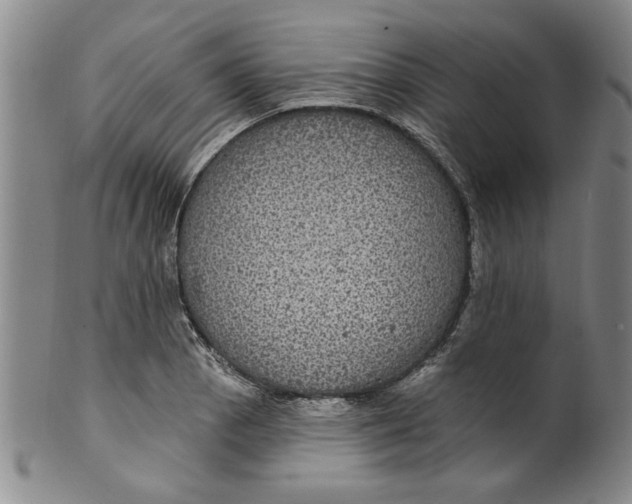 X0000100391129200806271351