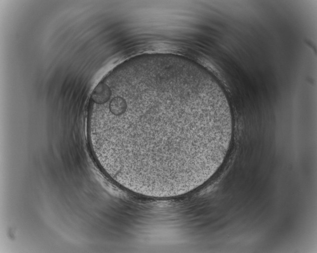 X0000100391130200806271351