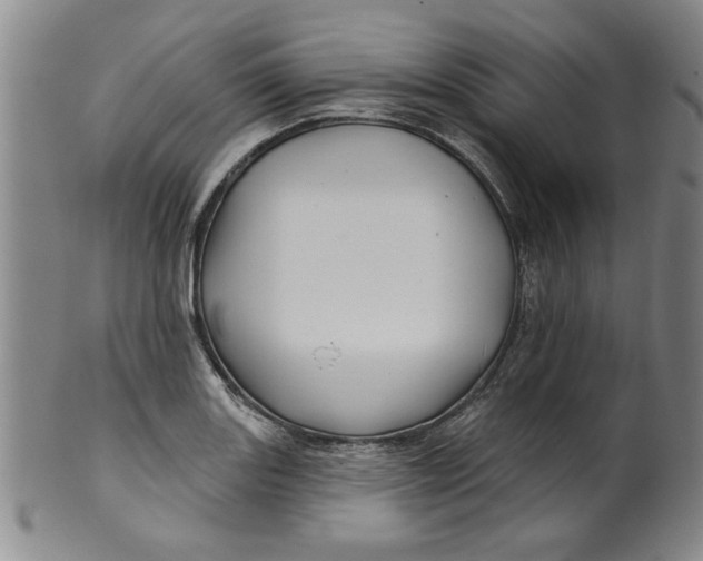 X0000100391131200806271351