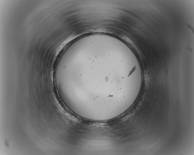 X0000100391133200806271351