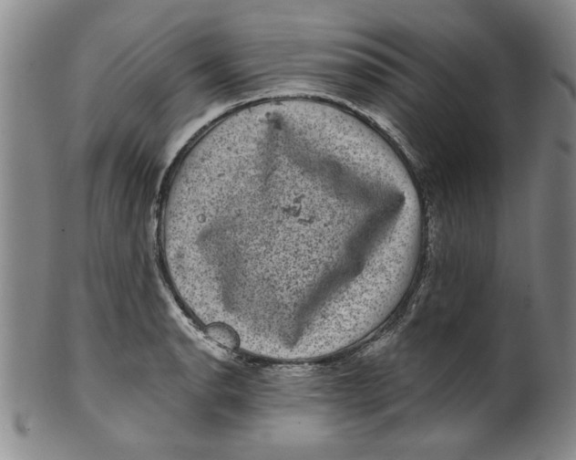 X0000100391134200806271351