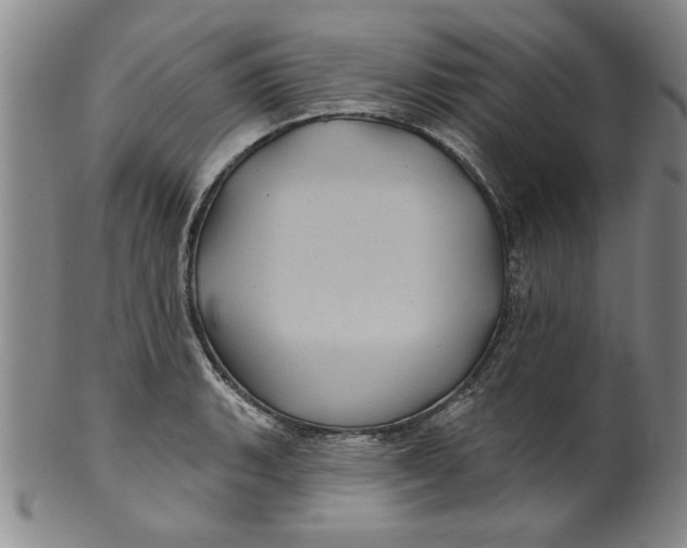 X0000100391135200806271351