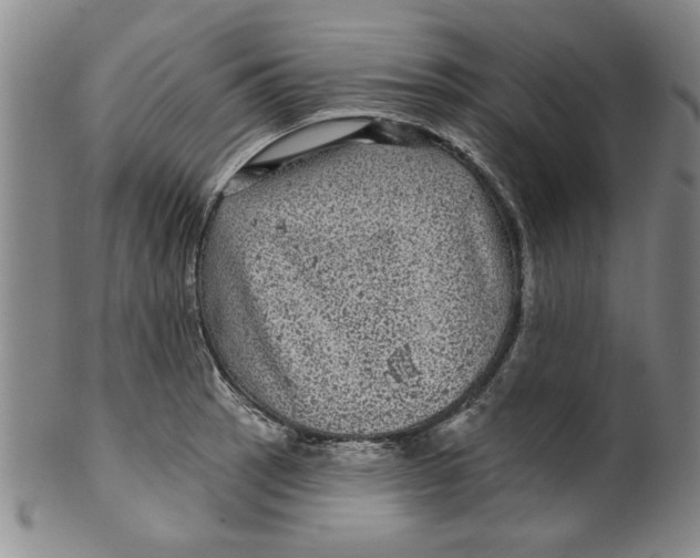 X0000100391137200806271351