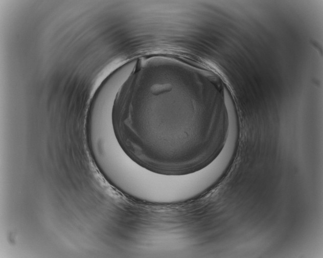 X0000100391138200806271351