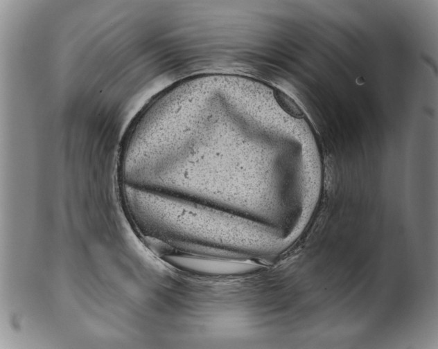 X0000100391139200806271351