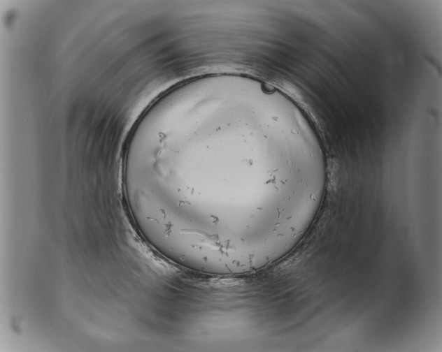 X0000100391140200806271351