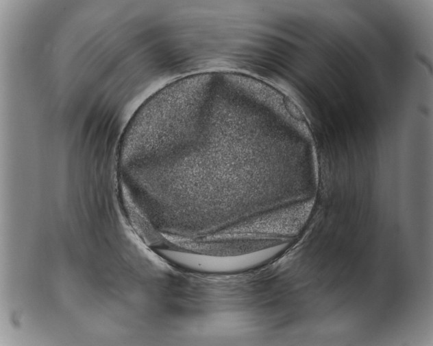 X0000100391142200806271351