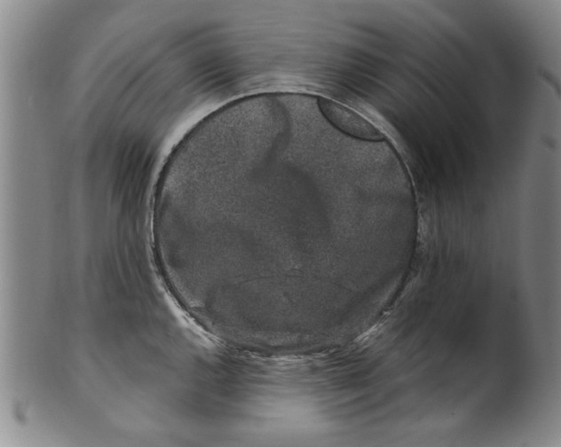 X0000100391144200806271351