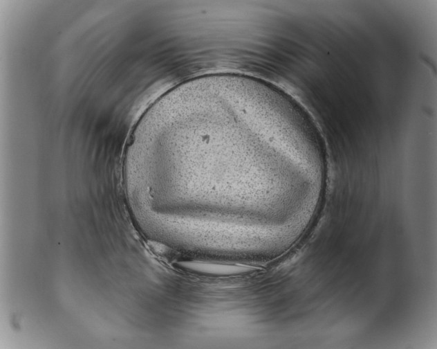 X0000100391145200806271351