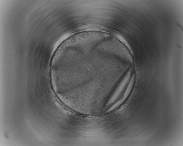 X0000100391146200806271351