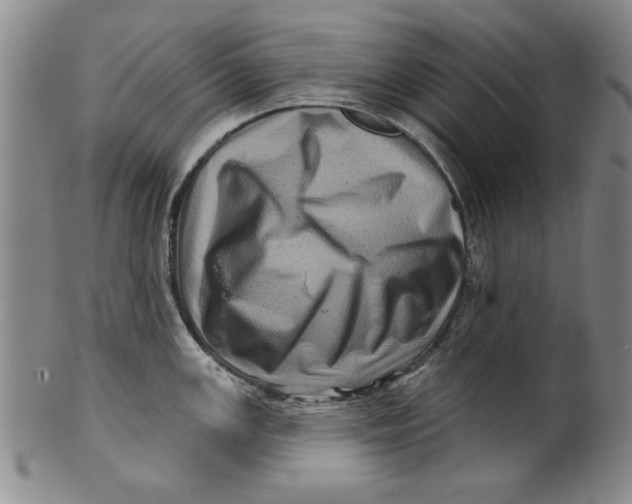 X0000100391147200806271351