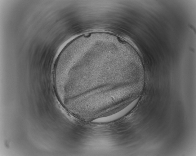 X0000100391148200806271351