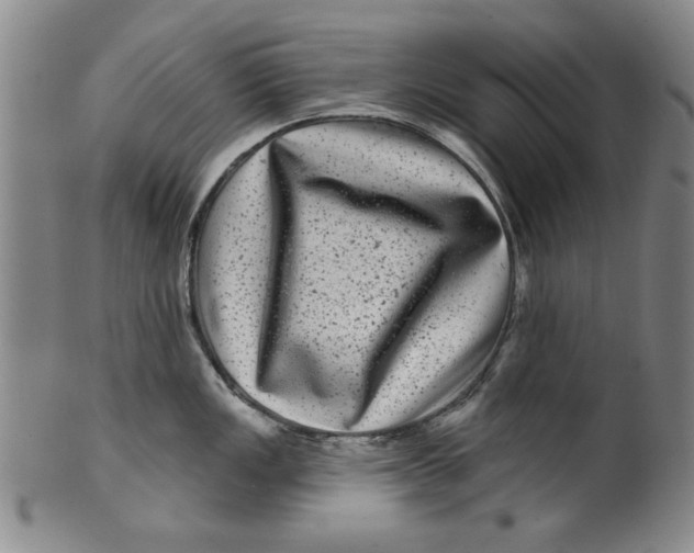 X0000100391149200806271351