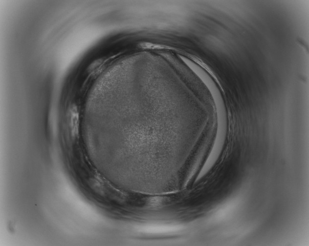 X0000100391151200806271351