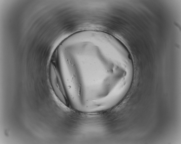 X0000100391152200806271351