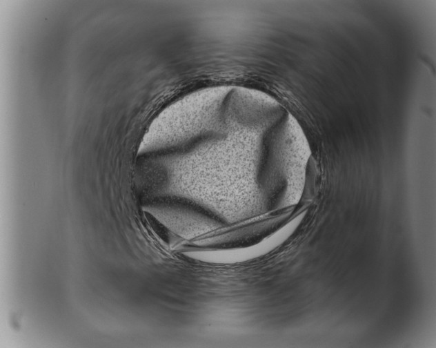 X0000100391153200806271351