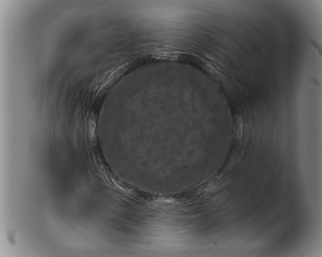 X0000100391154200806271351