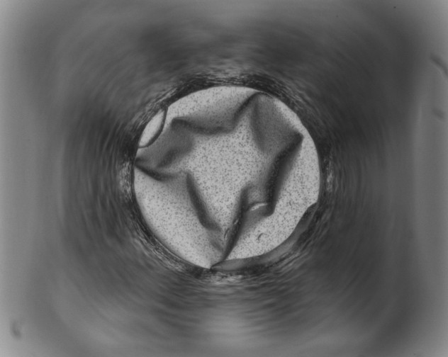 X0000100391156200806271351