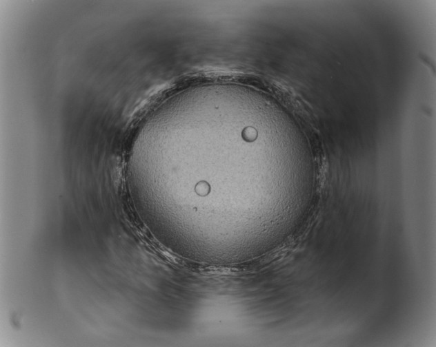 X0000100391157200806271351