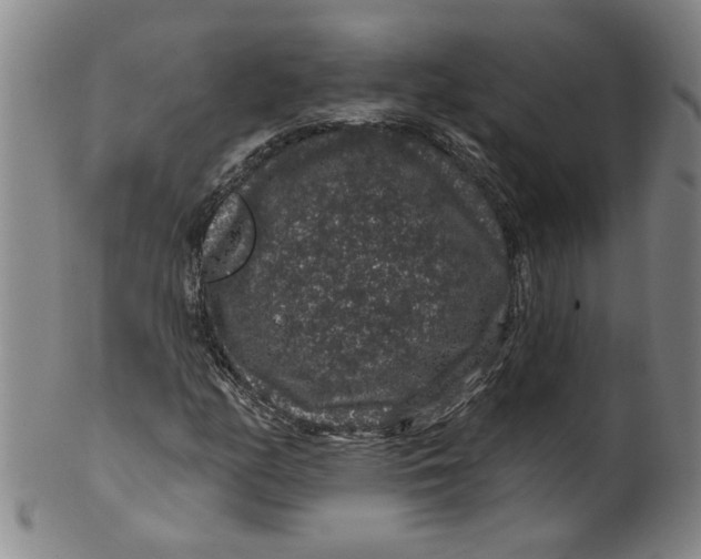 X0000100391158200806271351