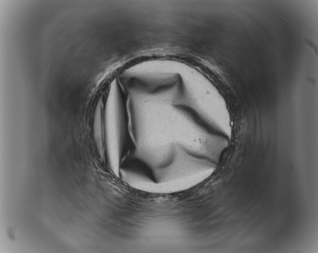 X0000100391160200806271351