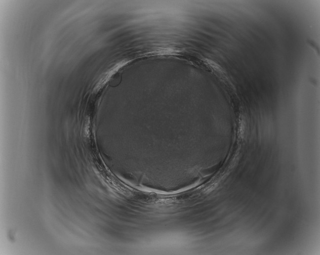 X0000100391161200806271351