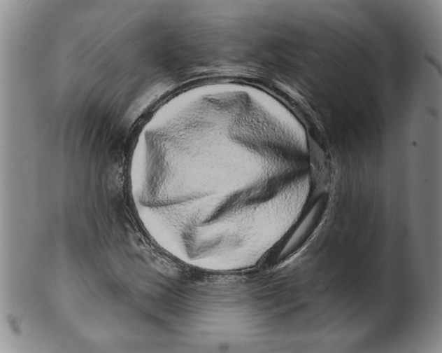 X0000100391163200806271351