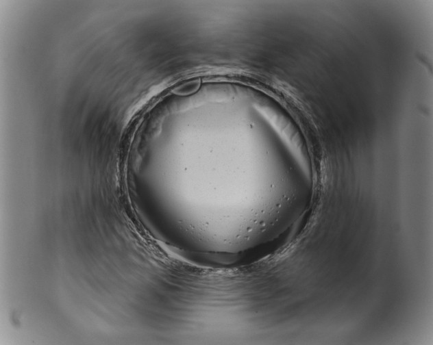 X0000100391165200806271351