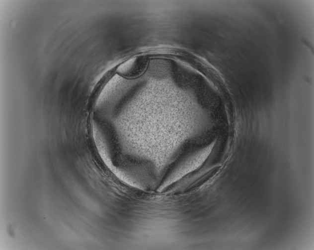 X0000100391166200806271351