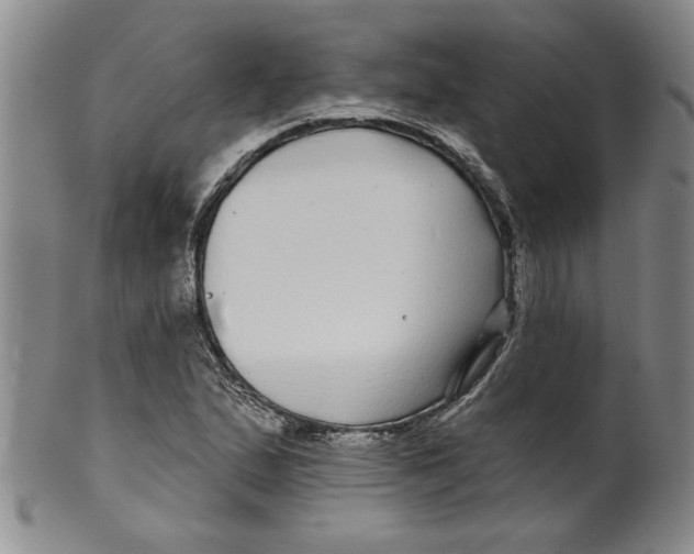 X0000100391167200806271351