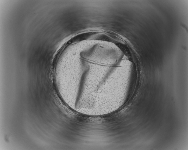 X0000100391168200806271351