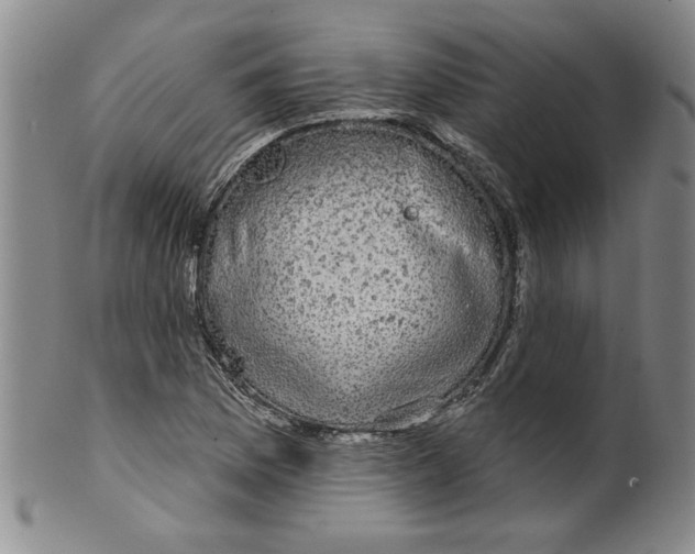 X0000100391169200806271350