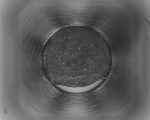 X0000100391170200806271350