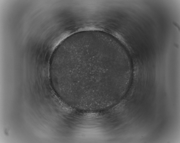 X0000100391173200806271350