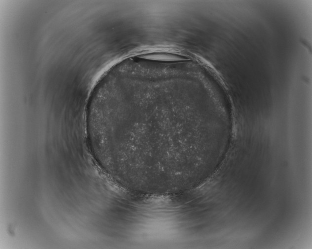 X0000100391174200806271350