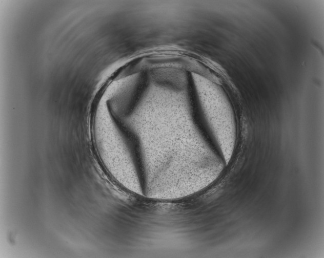 X0000100391176200806271350