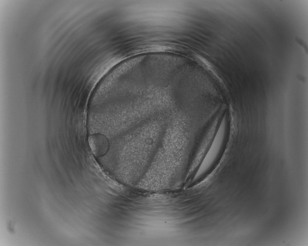 X0000100391178200806271350