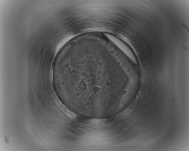 X0000100391179200806271350