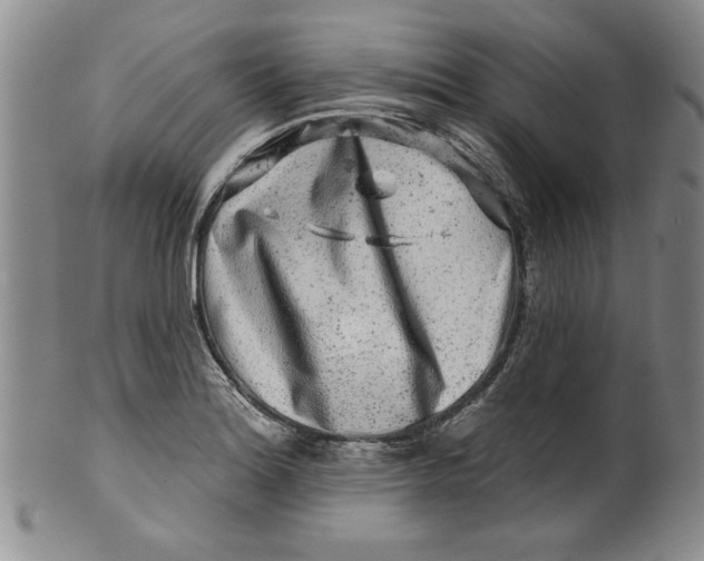 X0000100391180200806271350