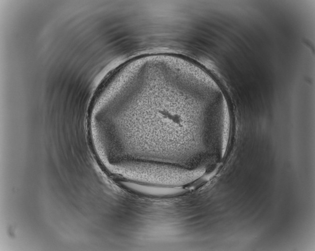 X0000100391181200806271350