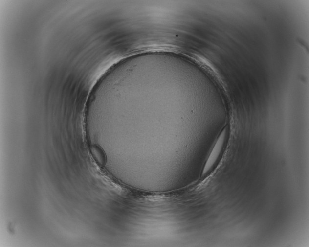 X0000100391182200806271350