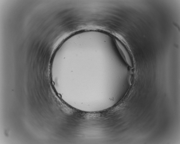 X0000100391183200806271350