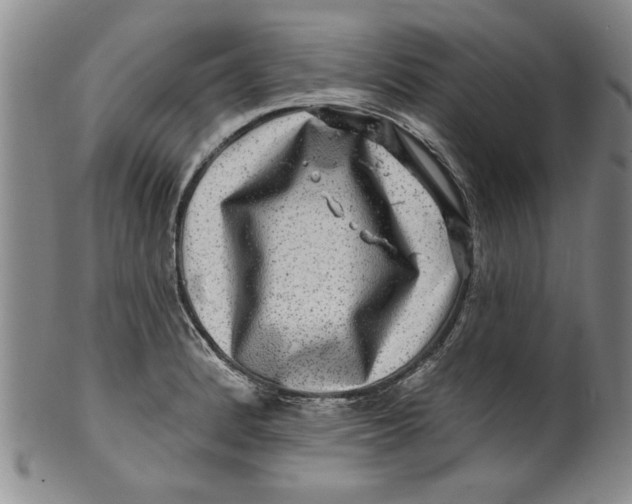 X0000100391184200806271350