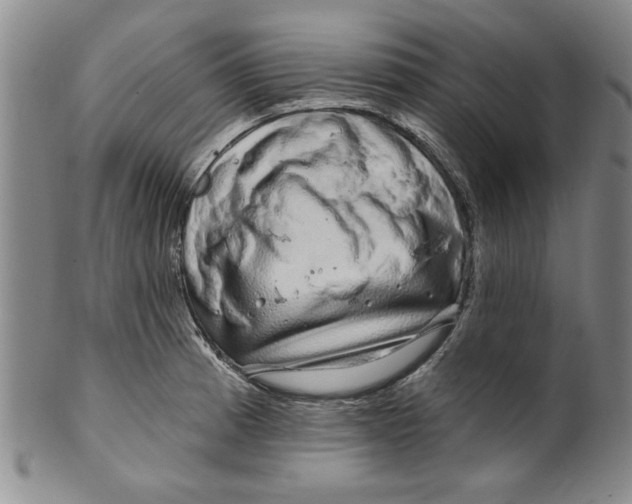 X0000100391185200806271350