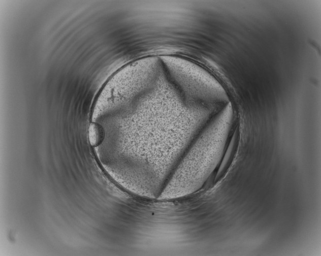 X0000100391186200806271350