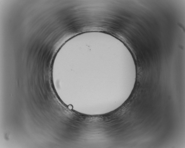 X0000100391187200806271350