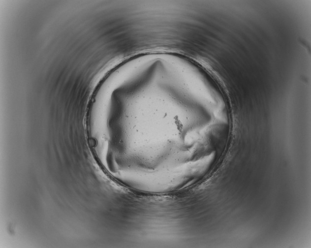 X0000100391189200806271350