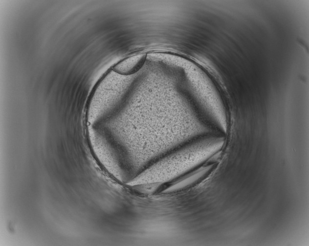 X0000100391190200806271350