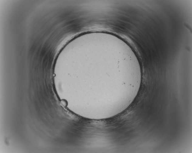 X0000100391191200806271350