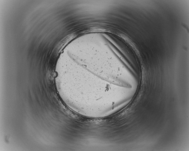 X0000100391193200806271350